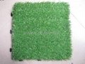 Artificial  Grass