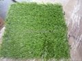 Artificial  Grass 3