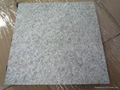 granite flooring 1