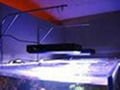 Remote Controller 56*3w dimmable led aquarium light 5