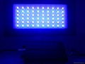 60W LED Aquarium Light  2