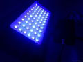 60W LED Aquarium Light  3