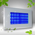 300W LED Aquarium Light  3