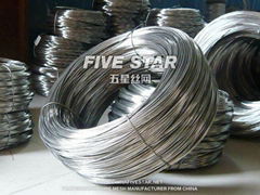 Stainless Steel Wire