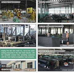 Anping Five Star Wire Mesh Co.,Ltd