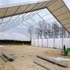 Clear Span Tents For Plant  1