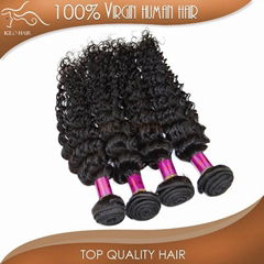 remy unprocessed deep curly brazilian hair virgin 