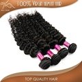 remy unprocessed deep curly brazilian hair virgin  2