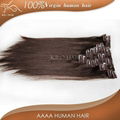 chinese sites virgin unprocessed brazilian clip in human hair extensions 