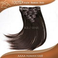 chinese sites virgin unprocessed brazilian clip in human hair extensions  2