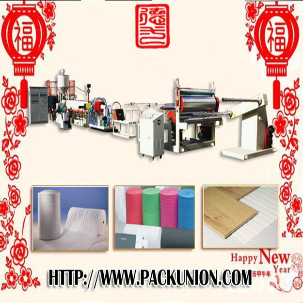 China famous Pe sheet machine