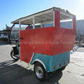 2014 new modlel eco friendly 1000W 60V Electric rickshaw 4