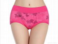 Flower Printing smooth lightweight Micro Fiber brief panties  2