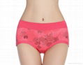 Flower Printing smooth lightweight Micro Fiber brief panties  3