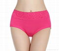 Bamboo Fiber with Lace waist assorted solid Color brief Underwear  1