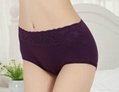 Bamboo Fiber with Lace waist assorted solid Color brief Underwear  5