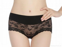 Hipster Fashionable Modal Lace assorted solid Color brief Panties 