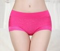 Hipster Fashionable Bamboo Fiber Brief panties with Lace, Assorted Solids 3