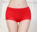 Hipster Fashionable Bamboo Fiber Brief panties with Lace, Assorted Solids 4