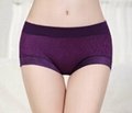 Hipster Fashionable Bamboo Fiber Brief panties with Lace, Assorted Solids 5