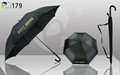 Umbrella With Windproof