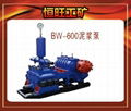 BW-600泥漿泵
