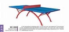 rainbow table tennis table