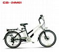 Best Electric Bike (CB-24M01) En15194