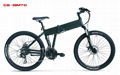 En15194 Approved Mountain E Bike