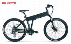 En15194 Approved Mountain E Bike (CB-26MT01)