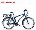 En15194 Approved Mountain Electric Bike