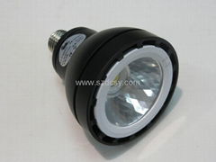 CE 25W 1800LM 30W 2800LM LED par lamp