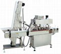 Automatic capping machine