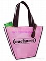 non woven customerized shopping bag package bag shoe bag clothes bag wholesales 5