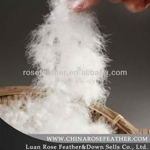 washed white goose feather for sale