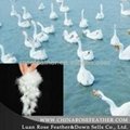 washed white goose feather for sale 3