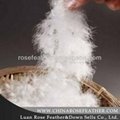 washed white goose feather for sale