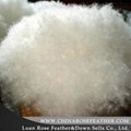 washed white goose feather for sale