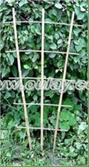 BAMBOO trellis