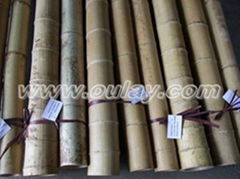 MOSO BAMBOO POLES