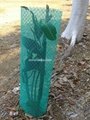 Tree Guards /planting nettings