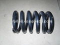 brake spring