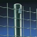 high security and pratical Wire Mesh Fence(manufacture)   3
