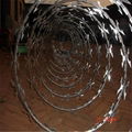 low price razor wire mesh fence quality