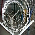 low price razor wire mesh fence quality manufacturer   3