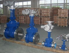 gate valve