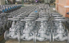 globe valve