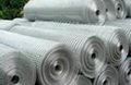 Welded Wire Mesh