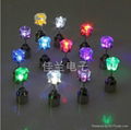 LED Earring