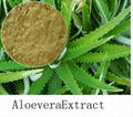 Aloe Vaera Extract